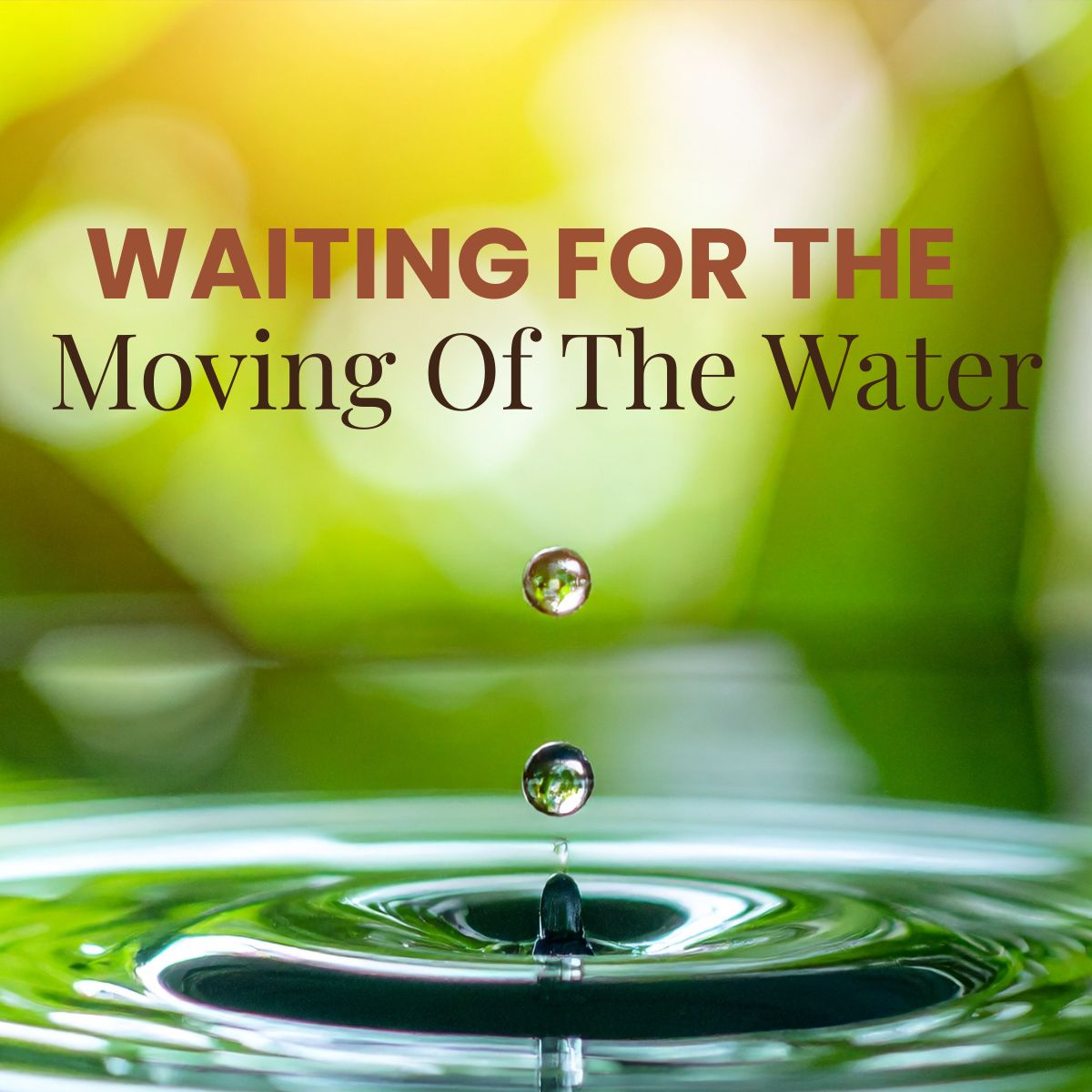  Waiting For The Moving Of The Water